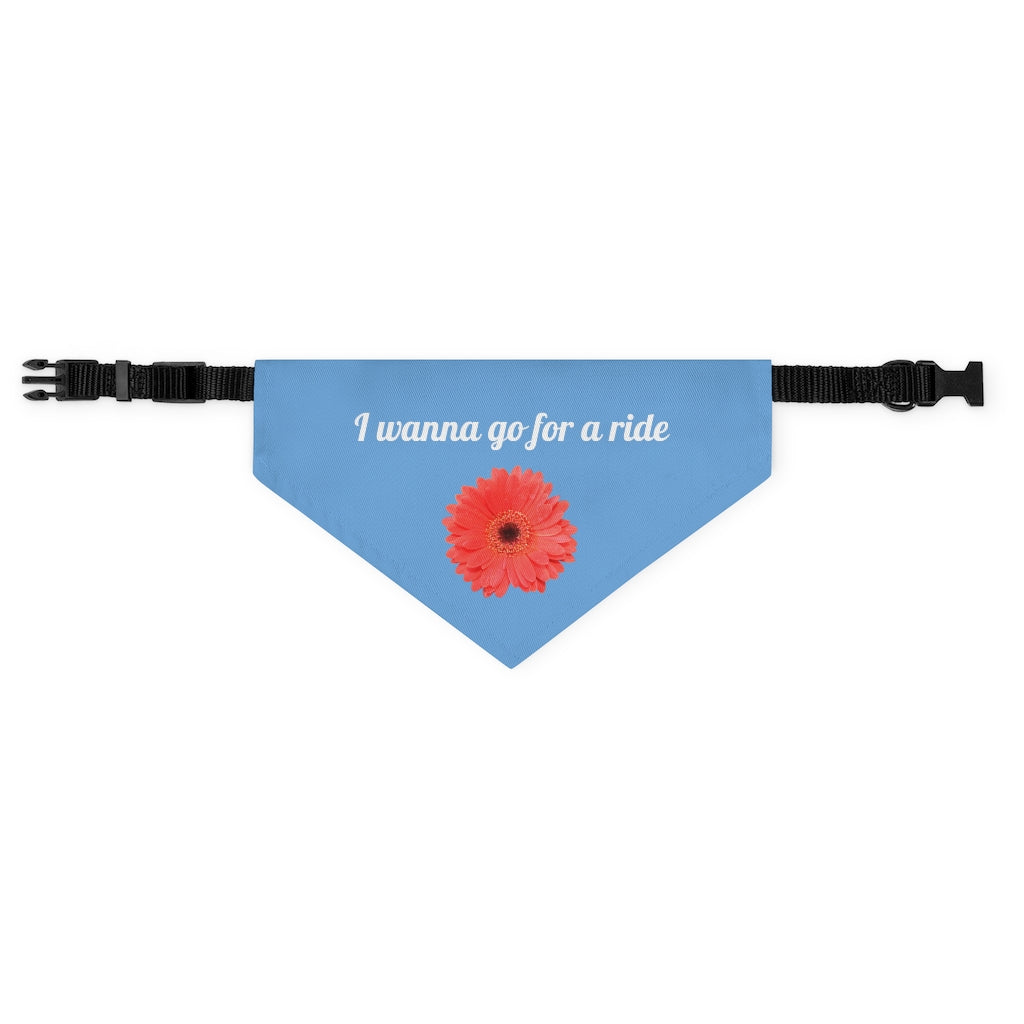 Floral "Gerber" "I wanna go for a ride" Pet Bandana Collar - White print