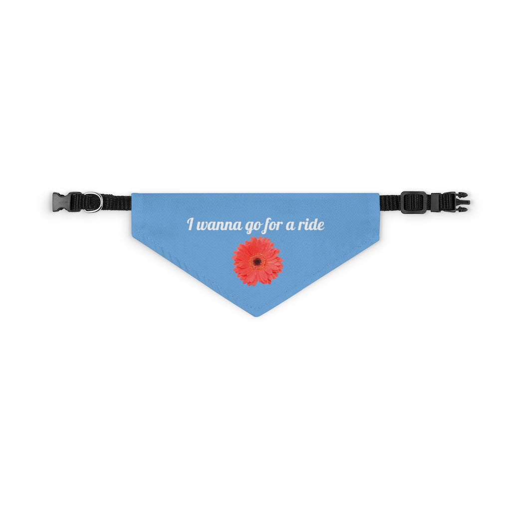 Floral "Gerber" "I wanna go for a ride" Pet Bandana Collar - White print