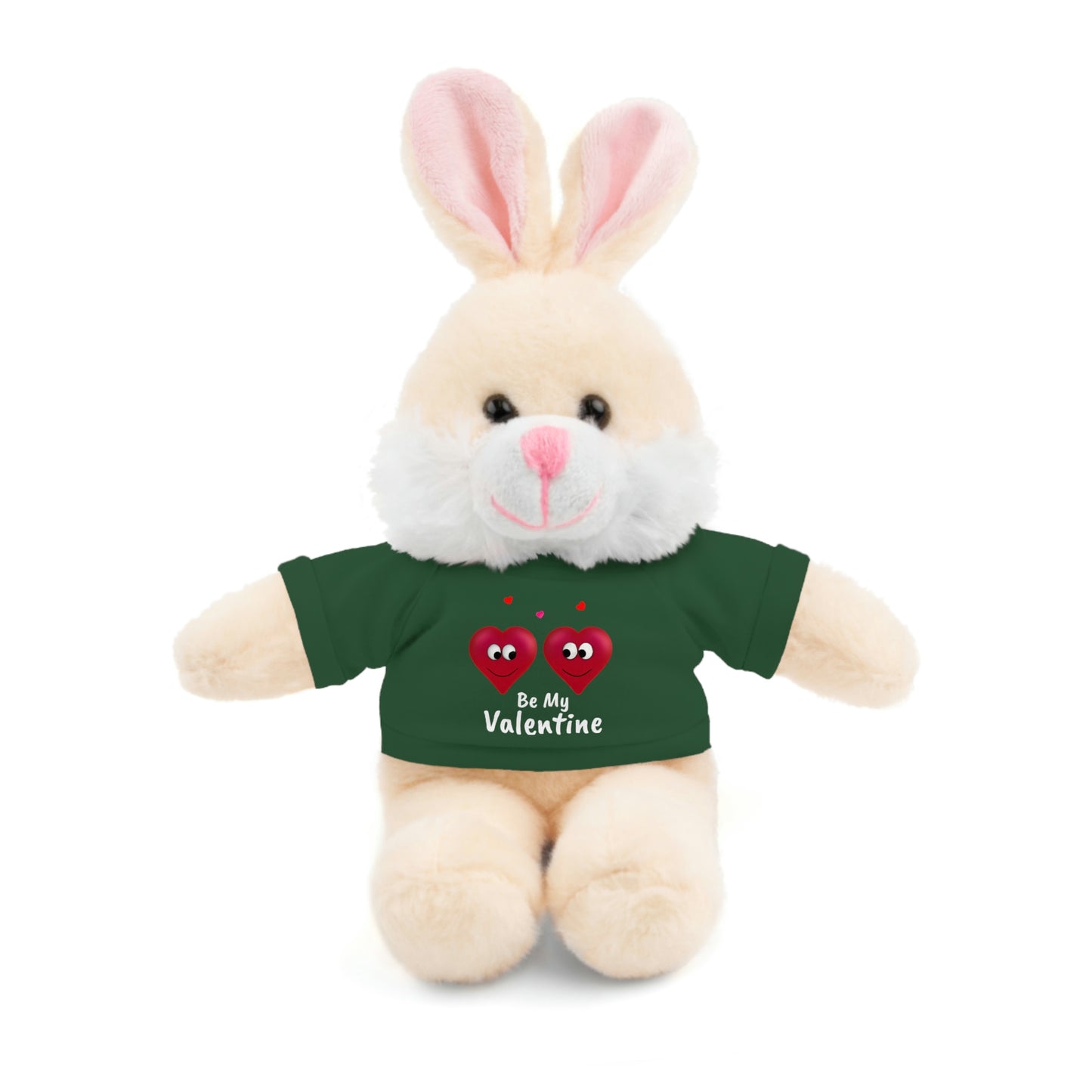 Valentine's "Be My Valentine" Stuffed Animals with Tee