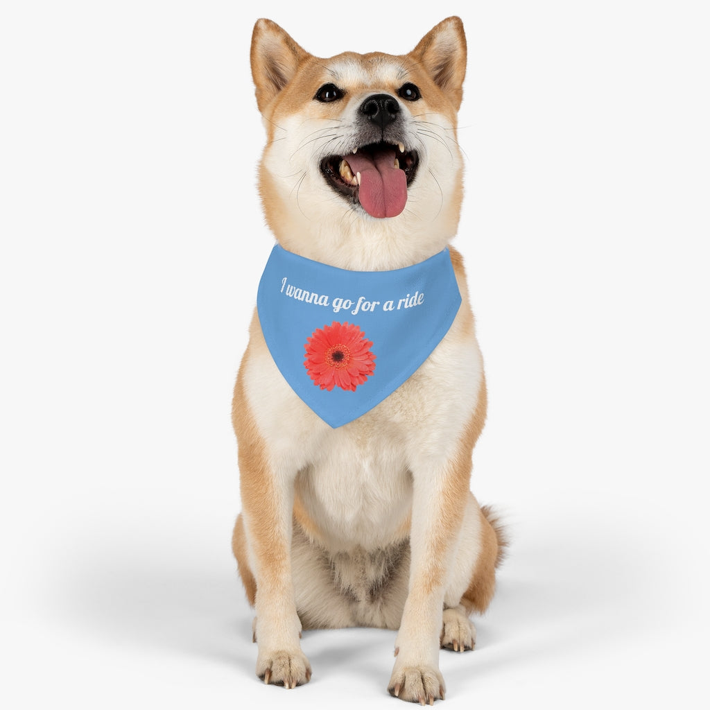 Floral "Gerber" "I wanna go for a ride" Pet Bandana Collar - White print