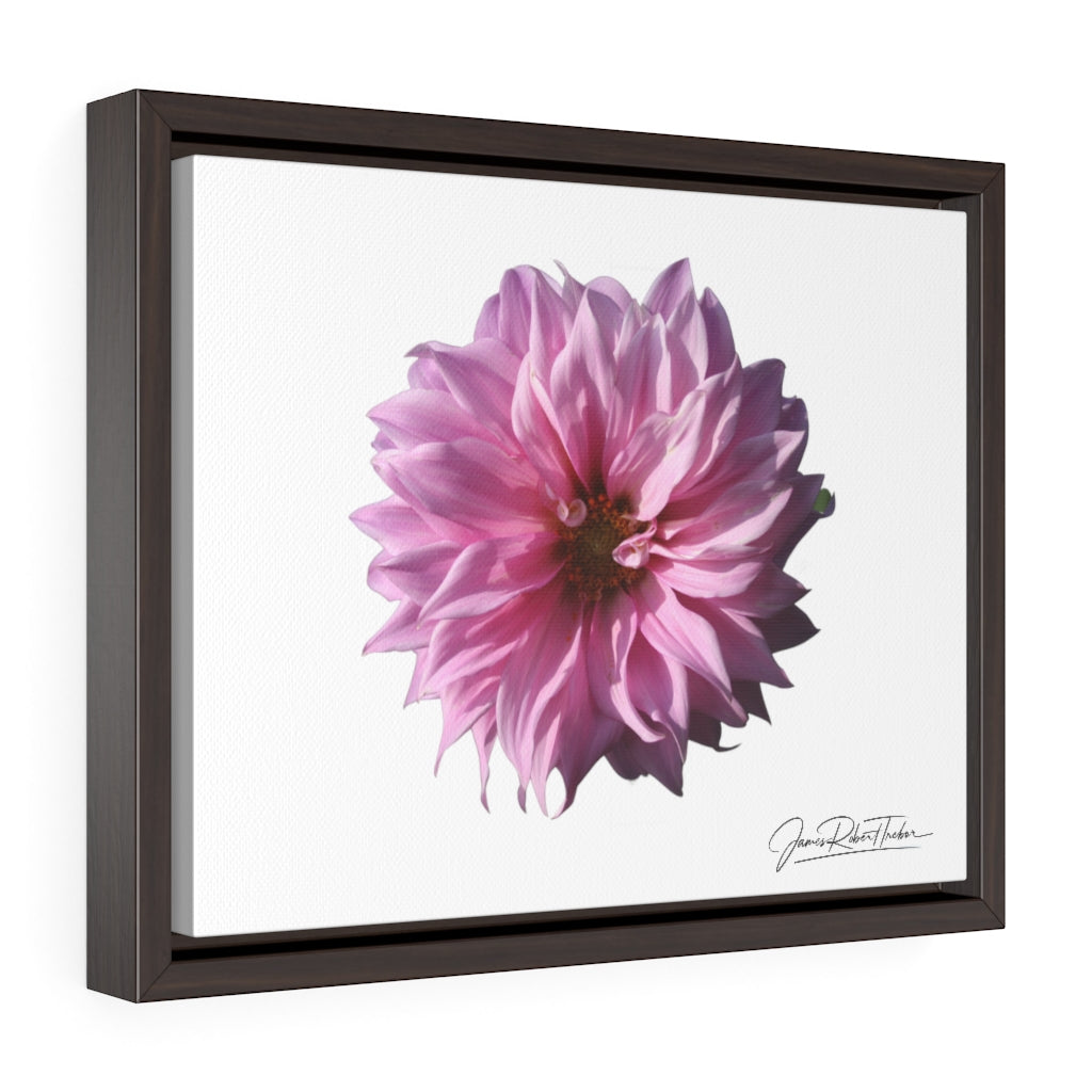 "Perfectly Pink" Gallery Canvas Wrap, Horizontal Frame