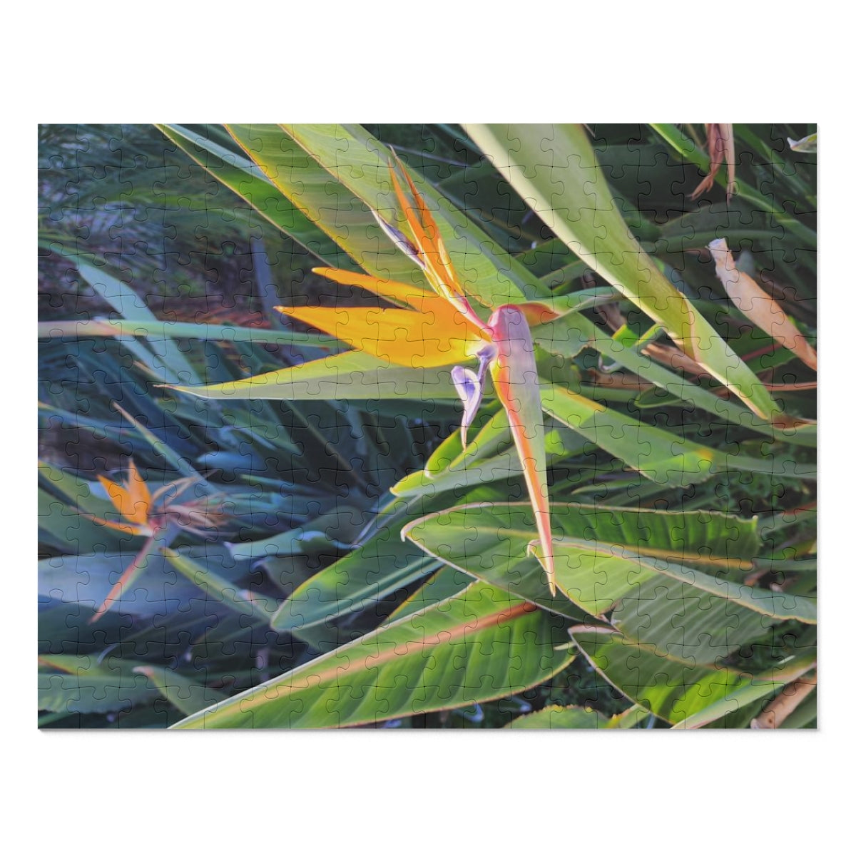 Island Style Bird of Paradise Jigsaw Puzzle (252, 500-Piece)