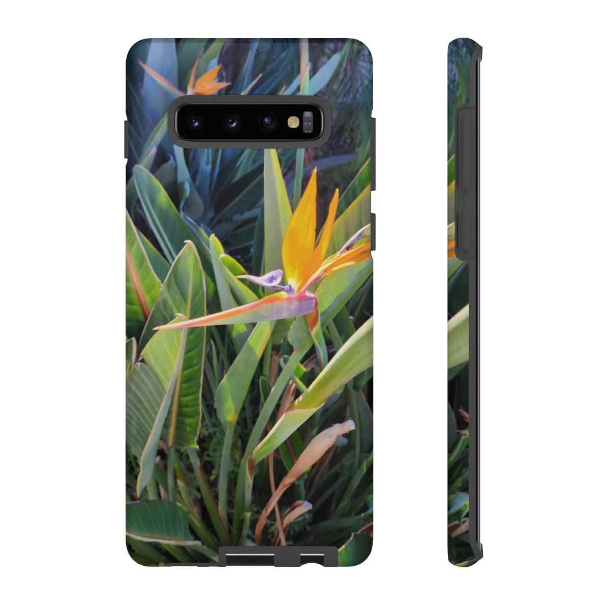 Island Style Bird of Paradise Tough Cases