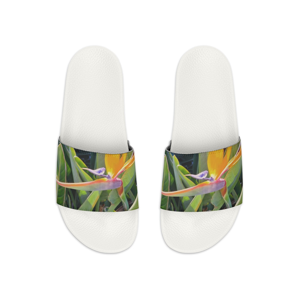 Bird of Paradise Women's Slide Sandals