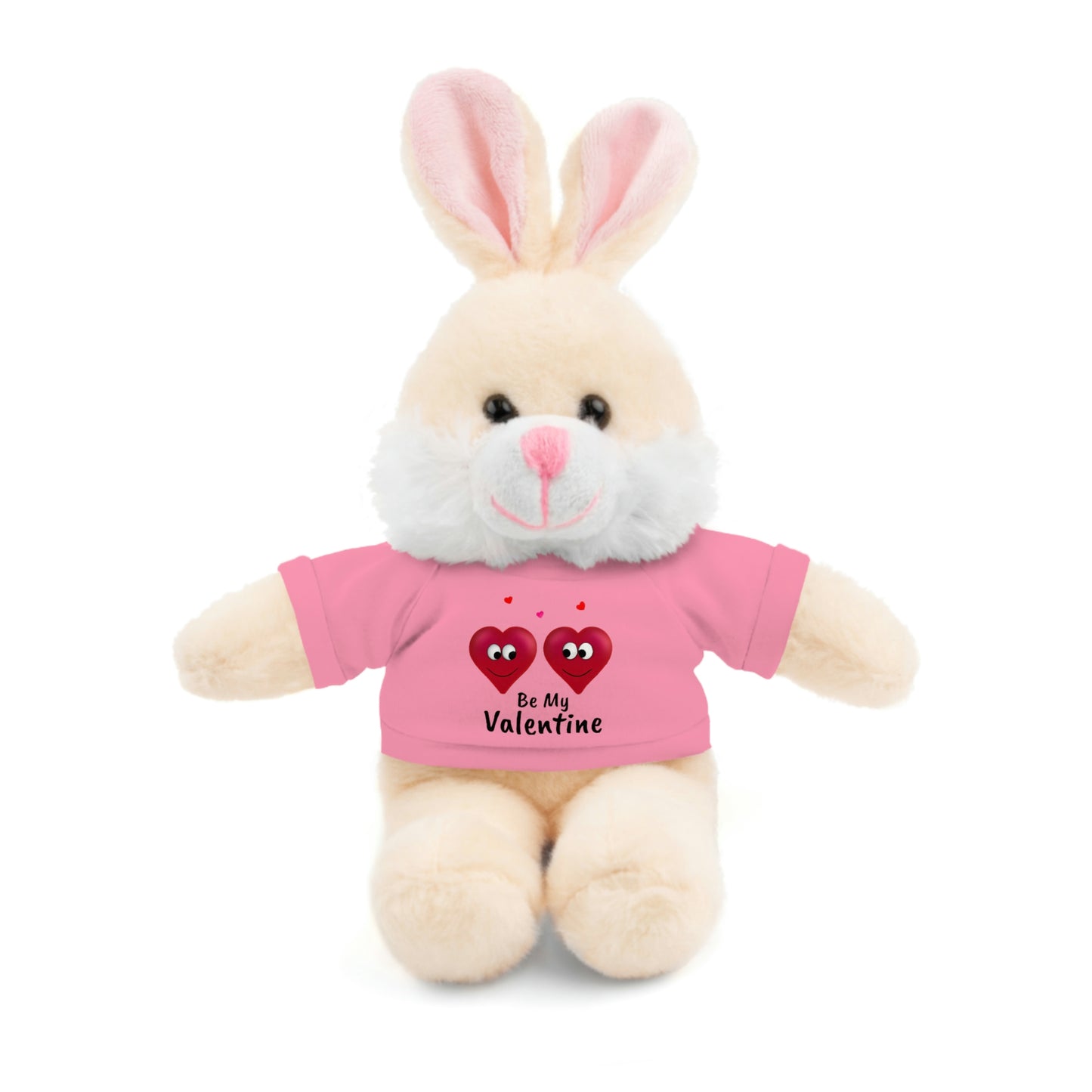 Valentine's "Be My Valentine" Stuffed Animals with Tee