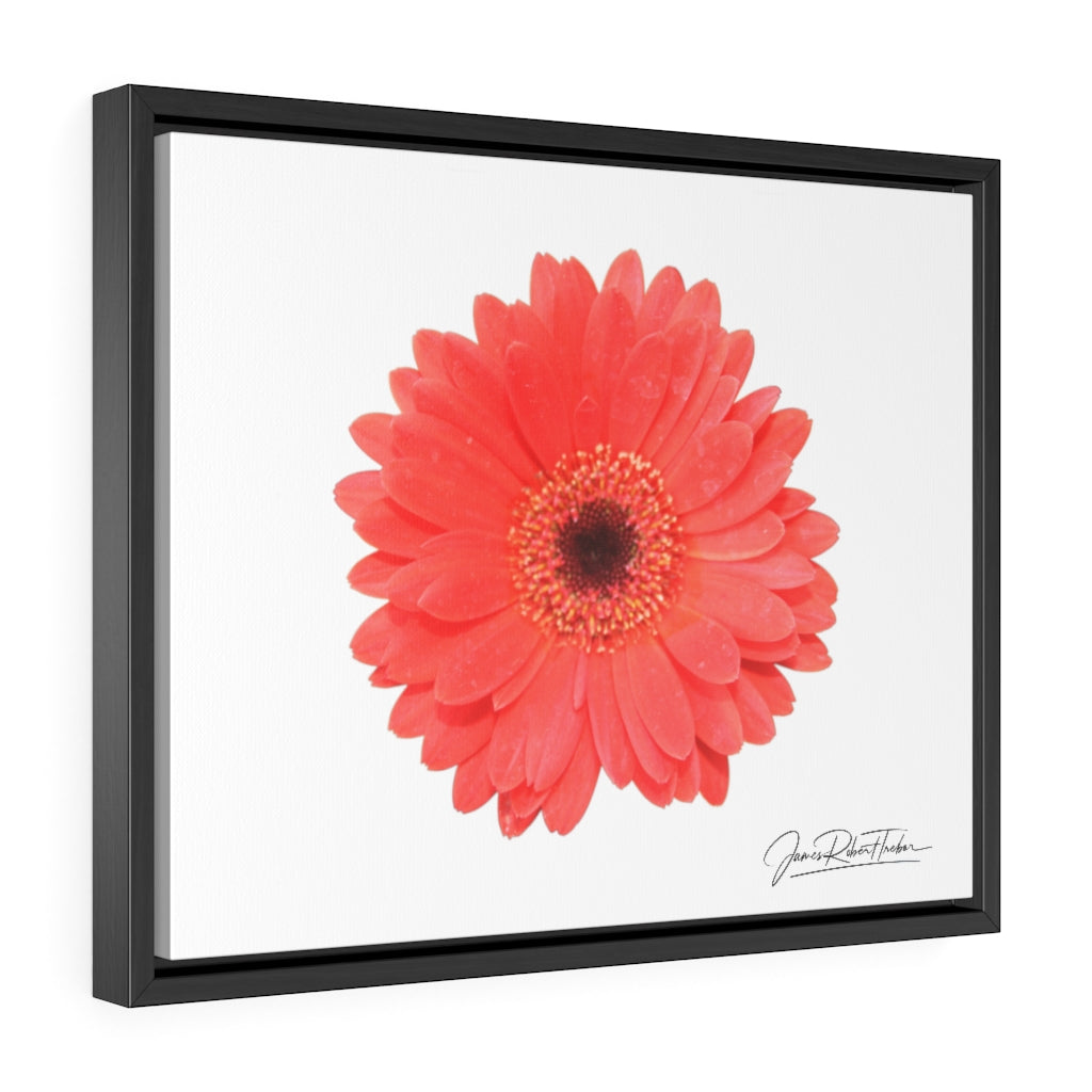 "Coral Gerber" Gallery Canvas Wraps, Horizontal Frame