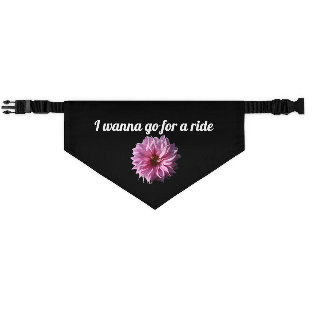 Floral "Perfectly Pink" "I wanna go for a ride" Pet Bandana Collar - White print