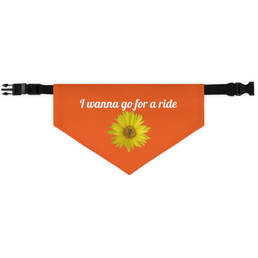 Floral "Daisy Mum - I wanna go for a ride" Pet Bandana Collar - White print