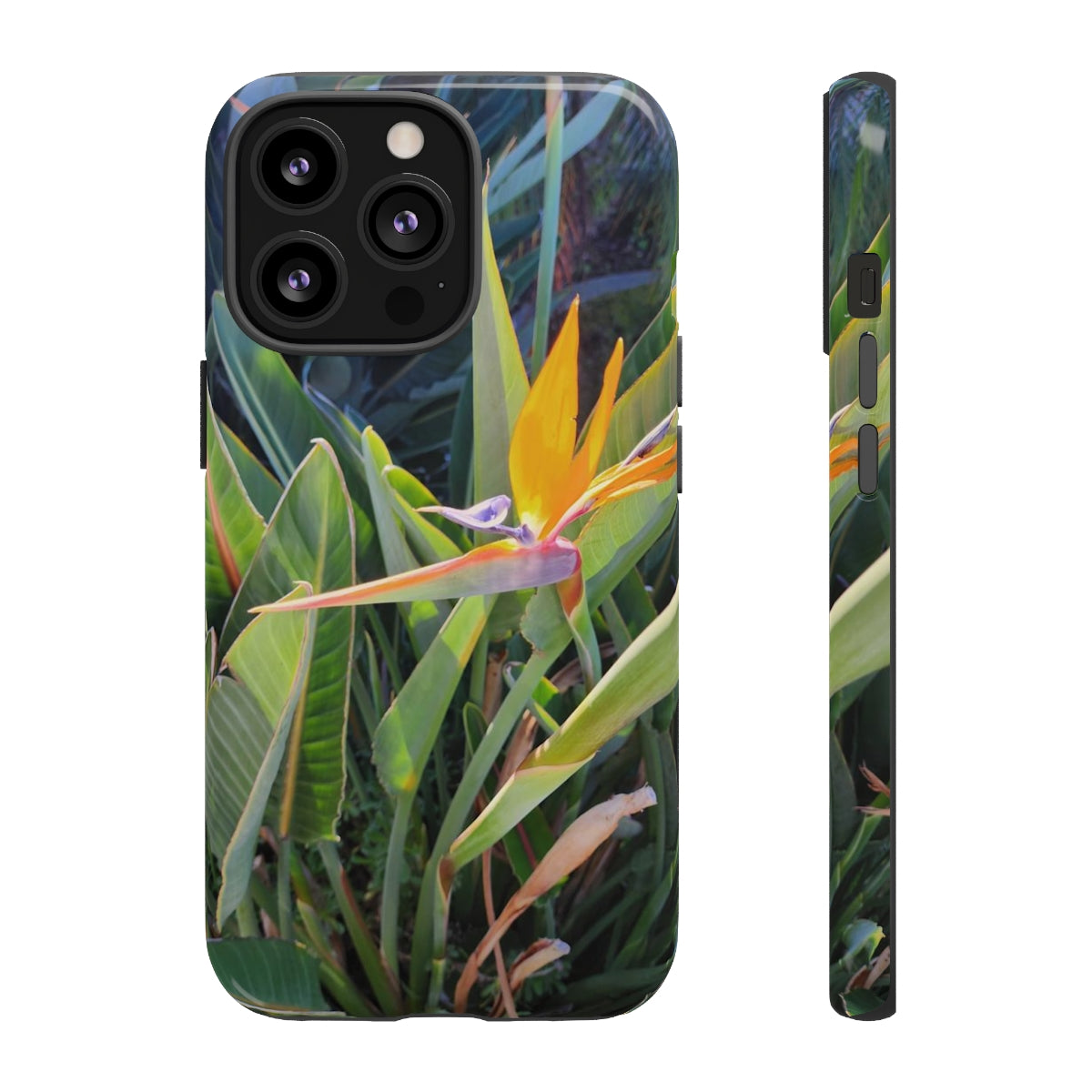 Island Style Bird of Paradise Tough Cases