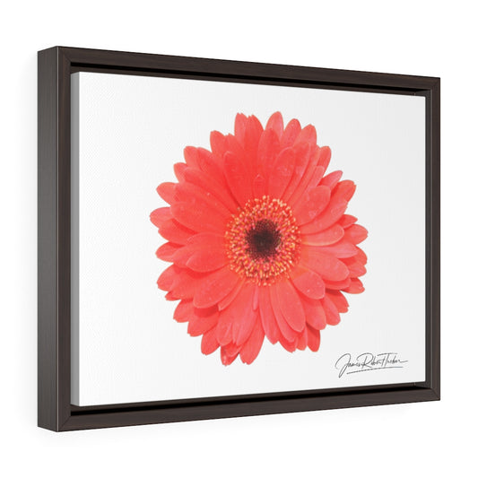 "Coral Gerber" Gallery Canvas Wraps, Horizontal Frame