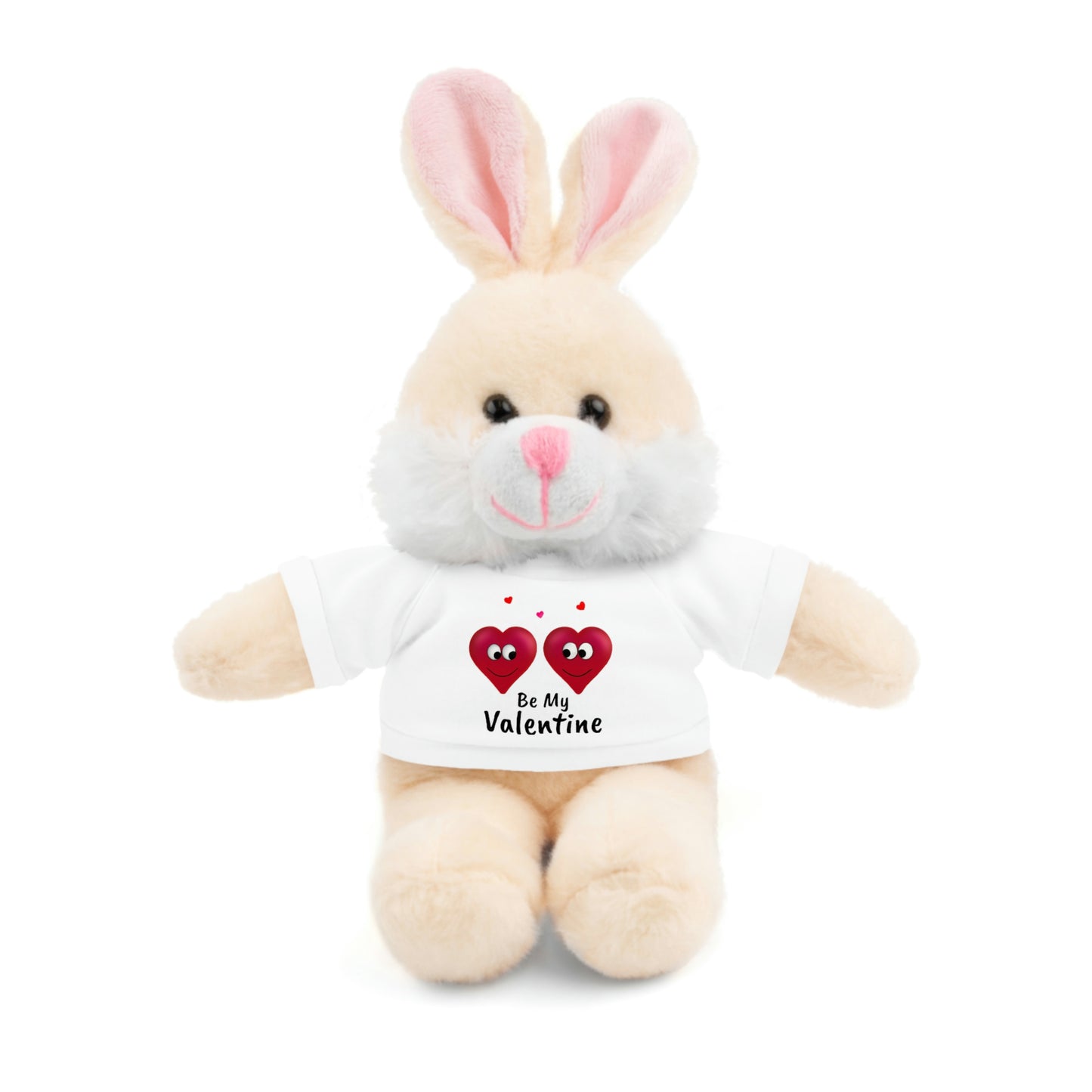 Valentine's "Be My Valentine" Stuffed Animals with Tee