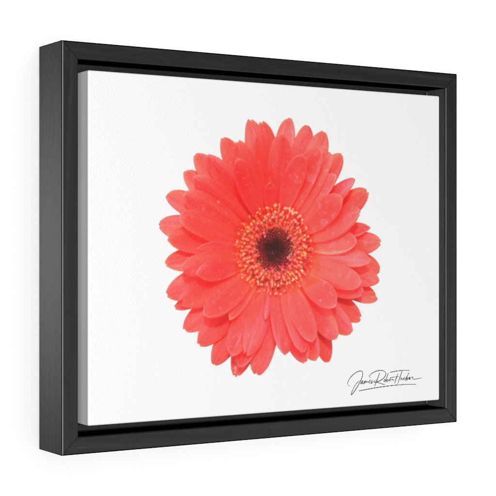 "Coral Gerber" Gallery Canvas Wraps, Horizontal Frame