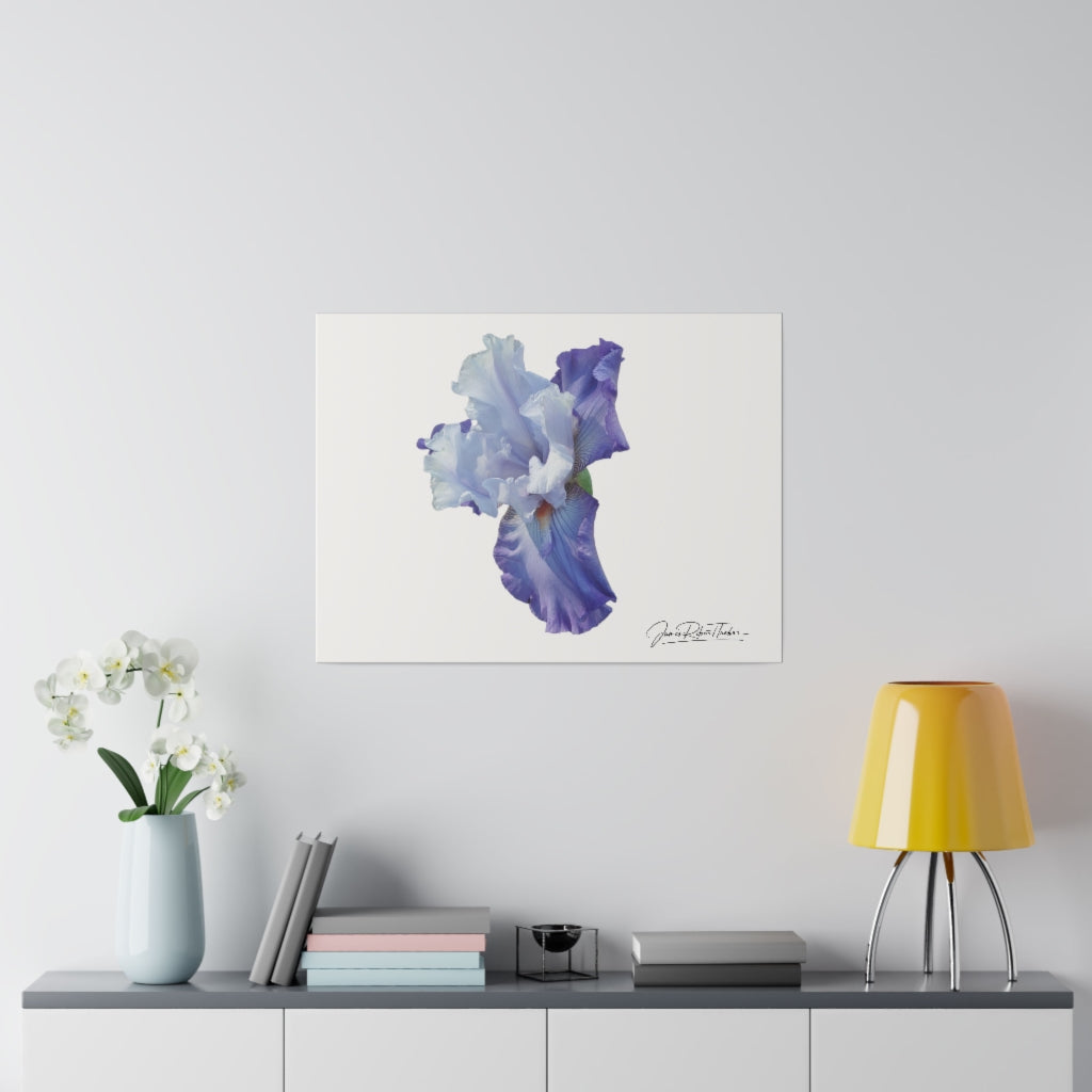 "Lavender Iris" Matte Canvas, Stretched