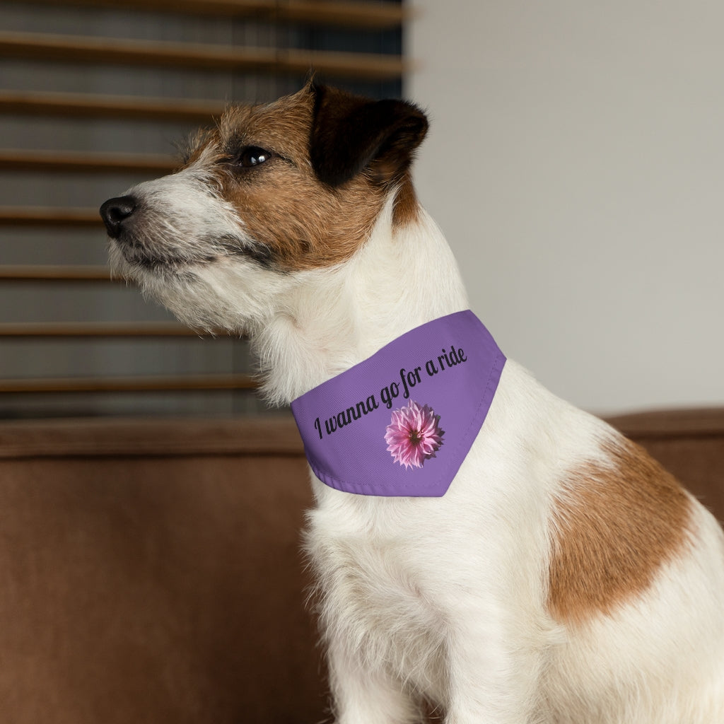 Floral "Perfectly Pink" "I wanna go for a ride" Pet Bandana Collar - Black print