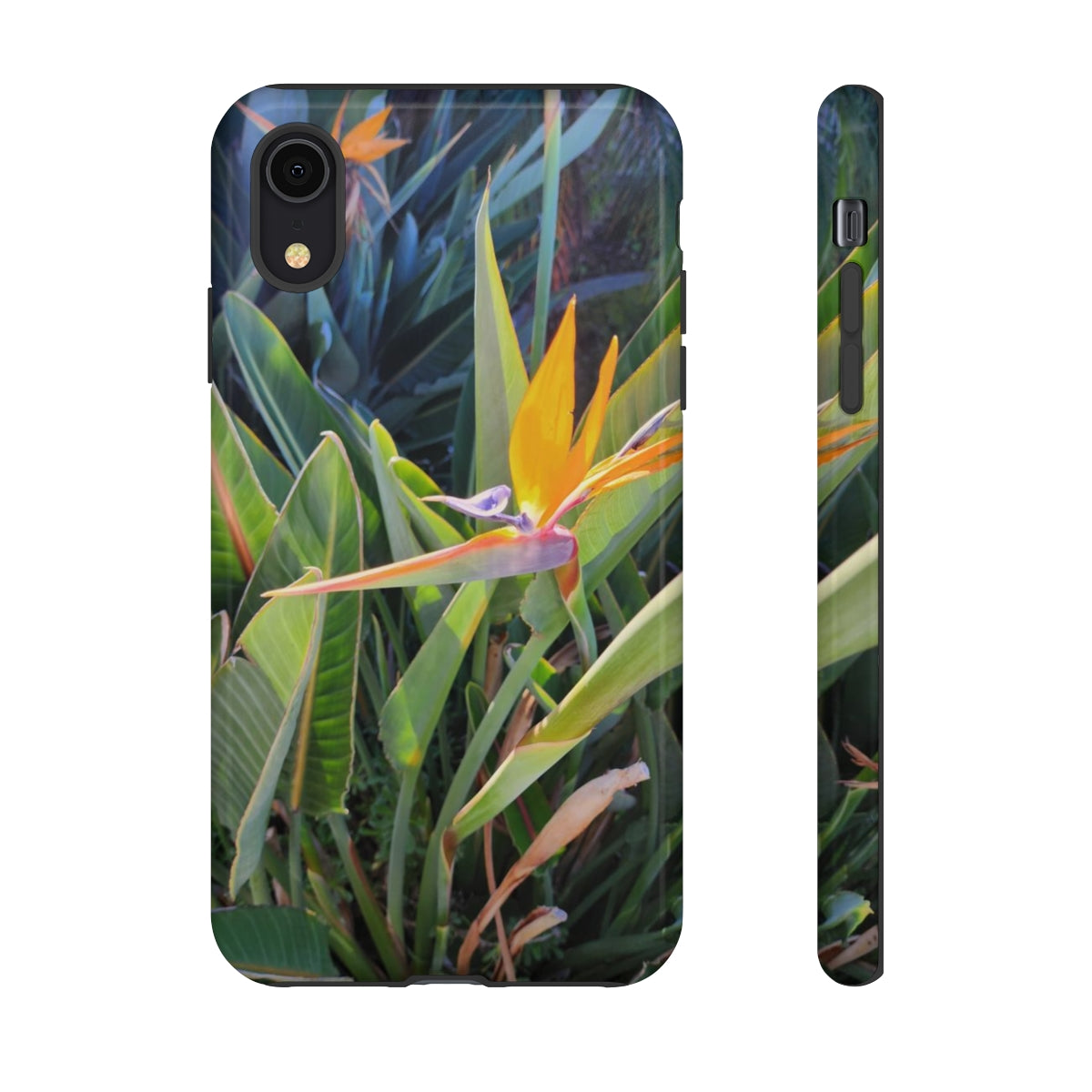 Island Style Bird of Paradise Tough Cases