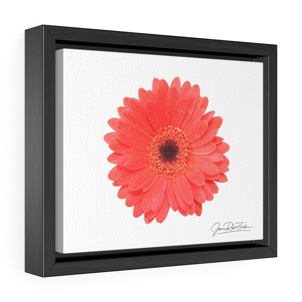 "Coral Gerber" Gallery Canvas Wraps, Horizontal Frame