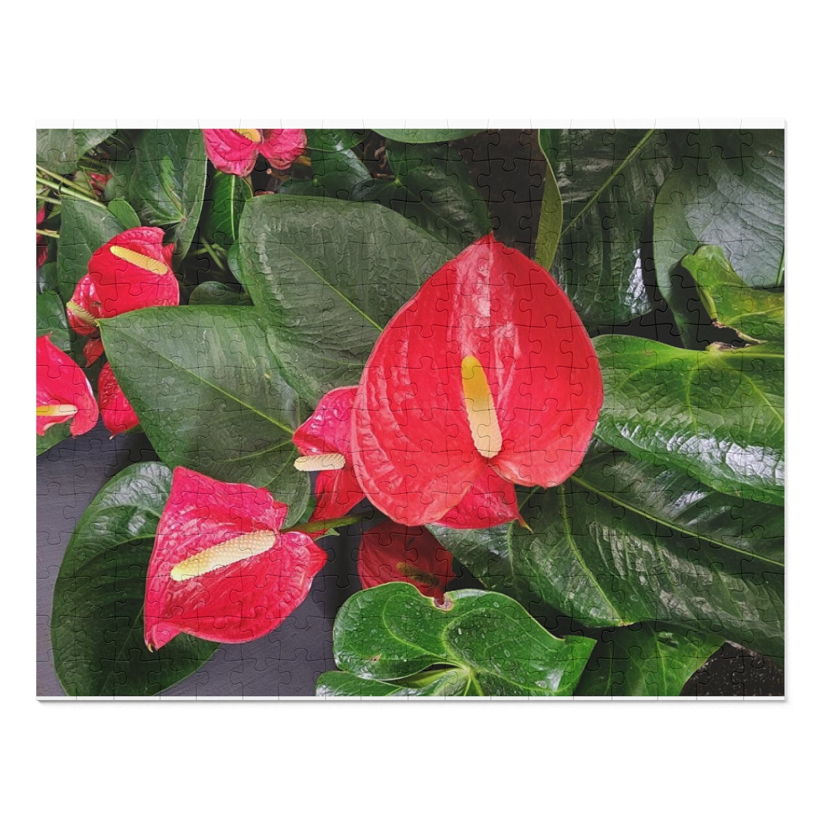 Island Style Anthurium Jigsaw Puzzle (252, 500-Piece)