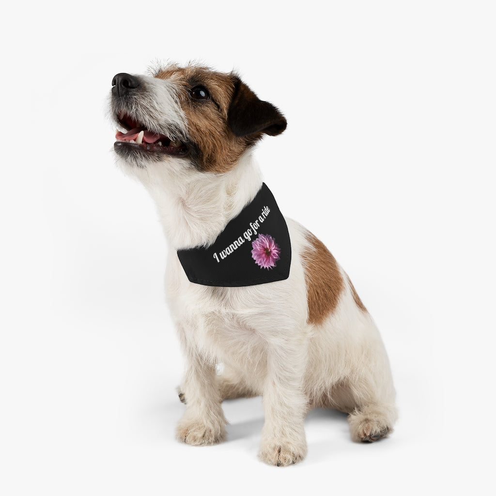 Floral "Perfectly Pink" "I wanna go for a ride" Pet Bandana Collar - White print