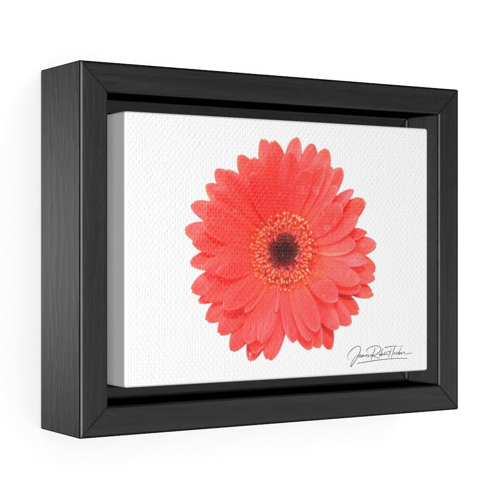 "Coral Gerber" Gallery Canvas Wraps, Horizontal Frame