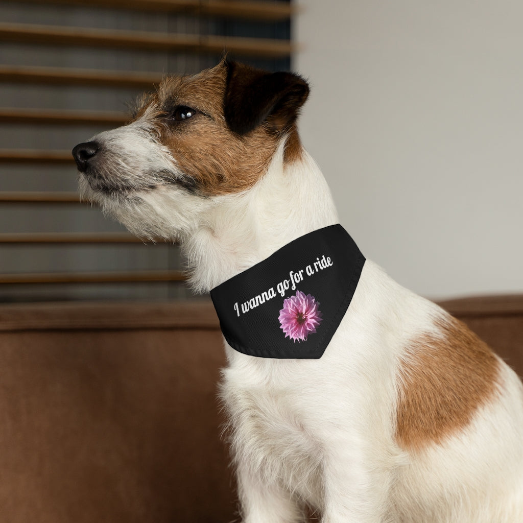 Floral "Perfectly Pink" "I wanna go for a ride" Pet Bandana Collar - White print