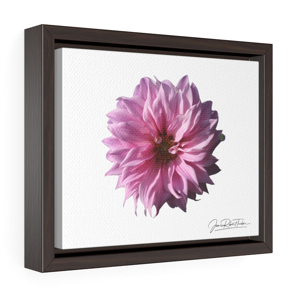 "Perfectly Pink" Gallery Canvas Wrap, Horizontal Frame