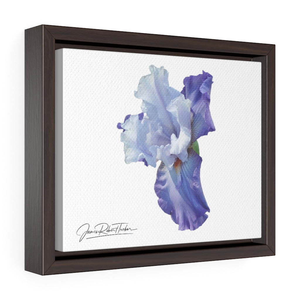 "Lavender Iris" Gallery Canvas Wrap, Horizontal Frame