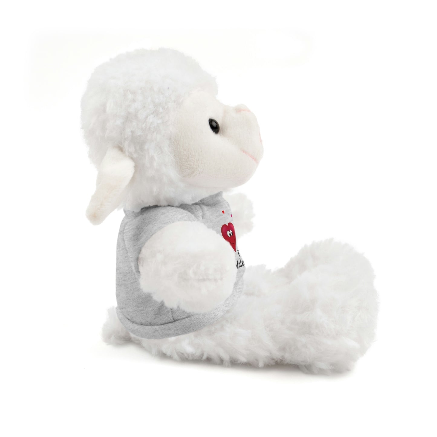 Valentine's "Be My Valentine" Stuffed Animals with Tee