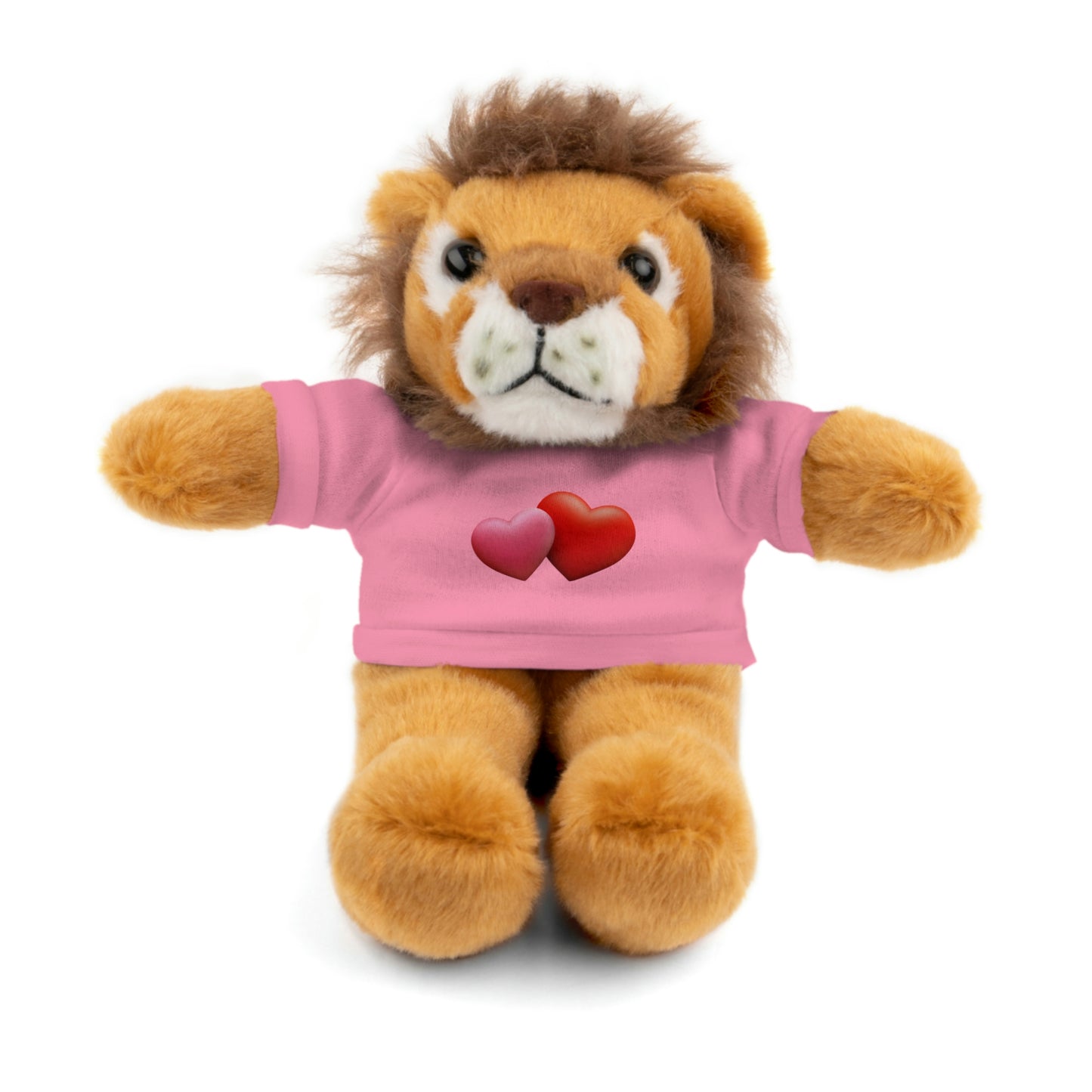 Valentine's Hearts Stuffed Animals with Tee