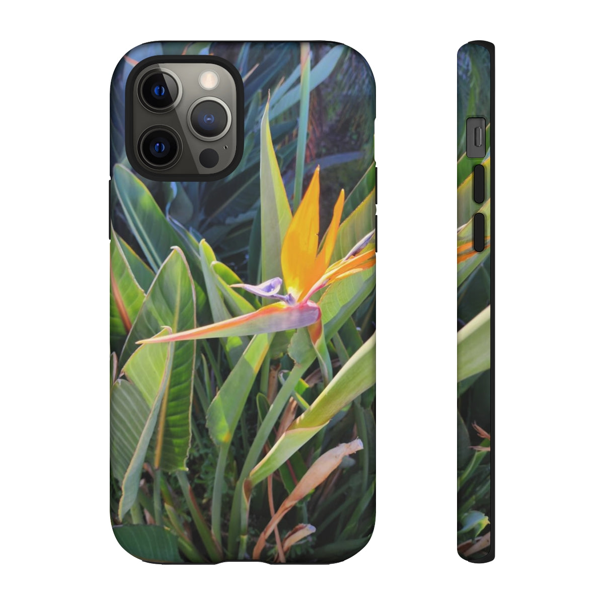 Island Style Bird of Paradise Tough Cases