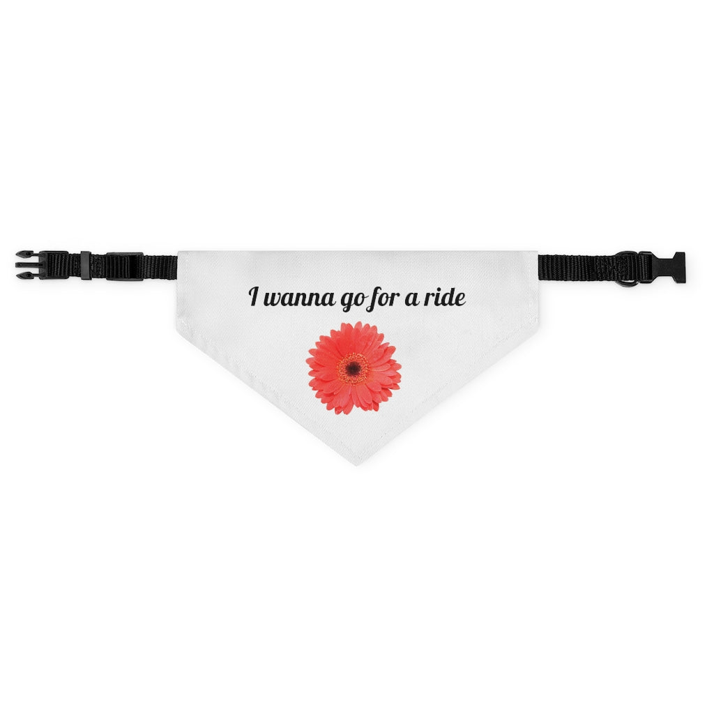 Floral "Gerber" "I wanna go for a ride" Pet Bandana Collar - Black print