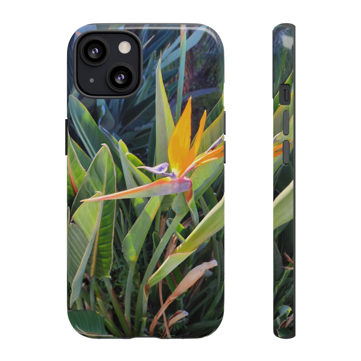 Island Style Bird of Paradise Tough Cases