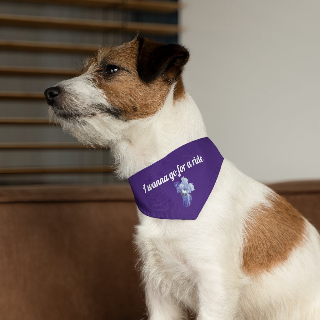 Floral "Iris" "I wanna go for a ride" Pet Bandana Collar - White print