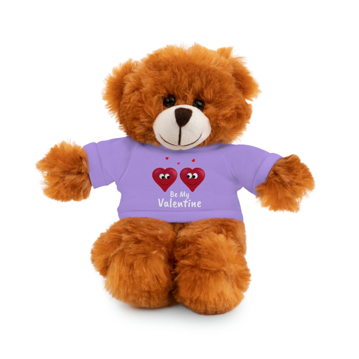 Valentine's "Be My Valentine" Stuffed Animals with Tee