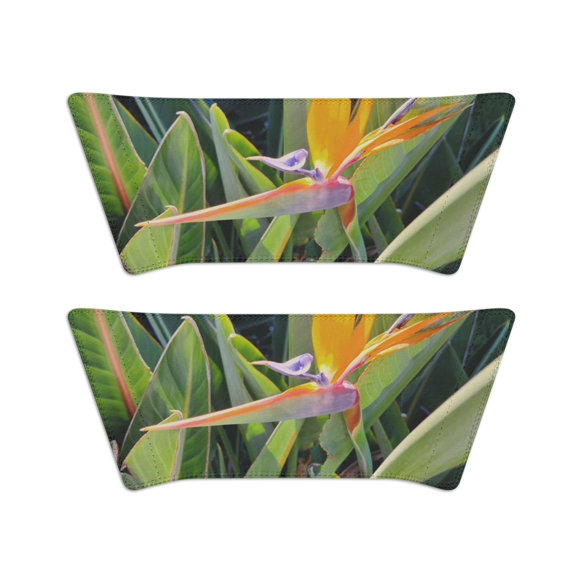 Bird of Paradise Women's Slide Sandals