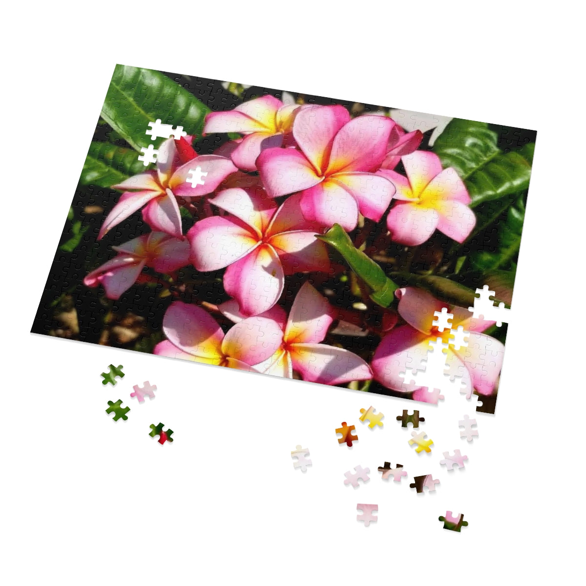 Island Style Striped Plumeria Jigsaw Puzzle (252, 500-Piece)