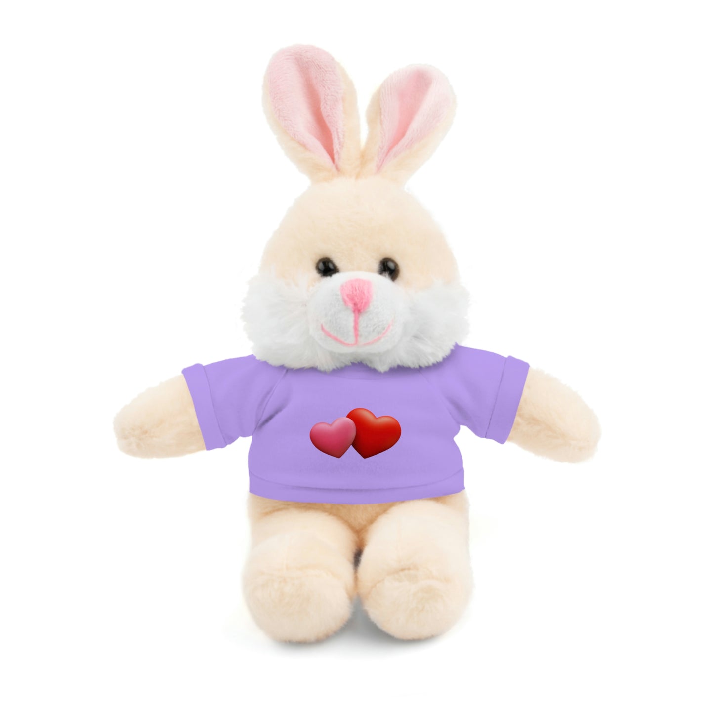 Valentine's Hearts Stuffed Animals with Tee