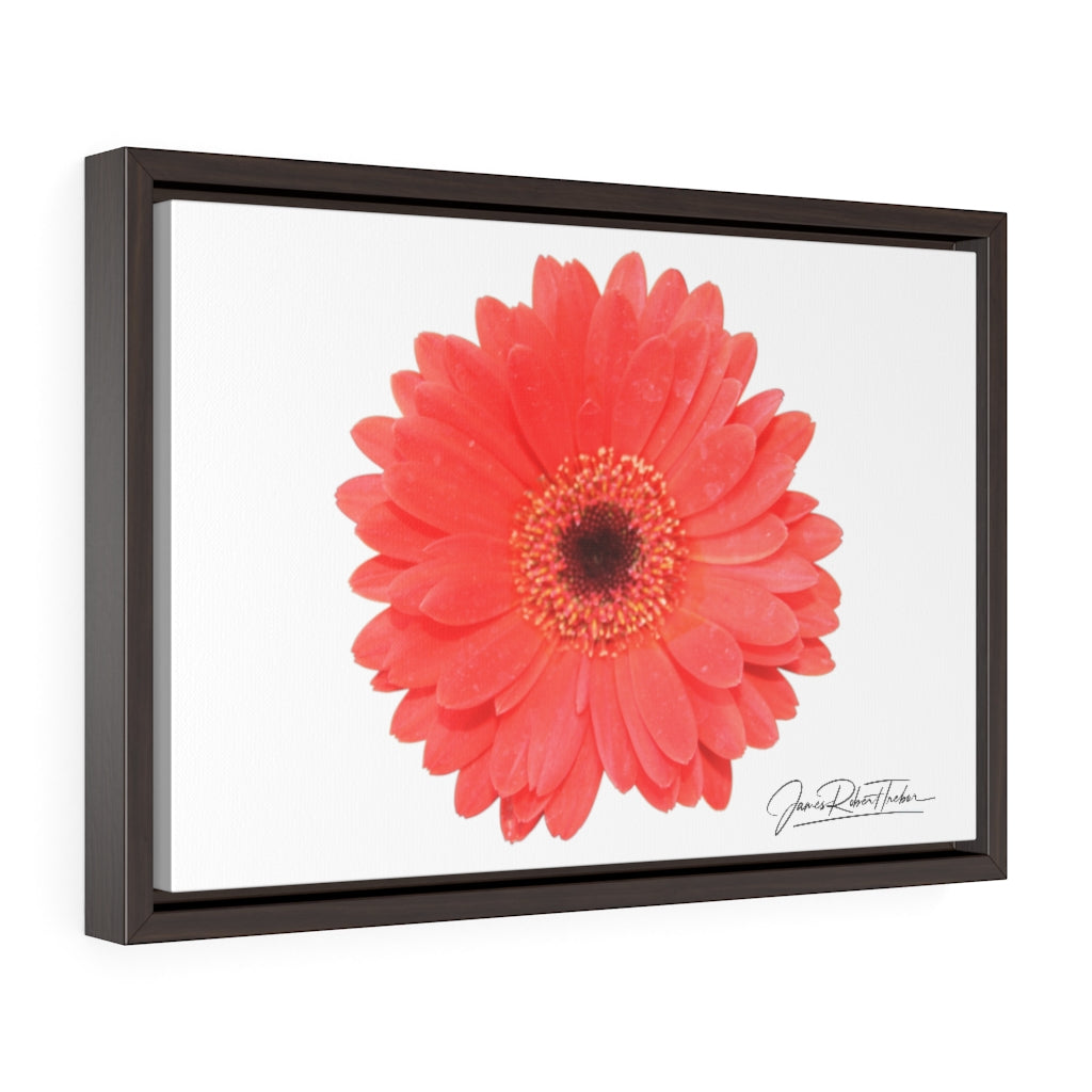 "Coral Gerber" Gallery Canvas Wraps, Horizontal Frame