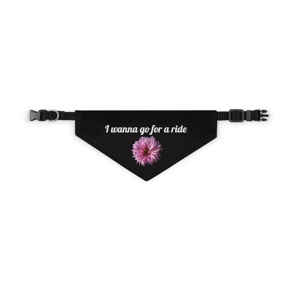 Floral "Perfectly Pink" "I wanna go for a ride" Pet Bandana Collar - White print