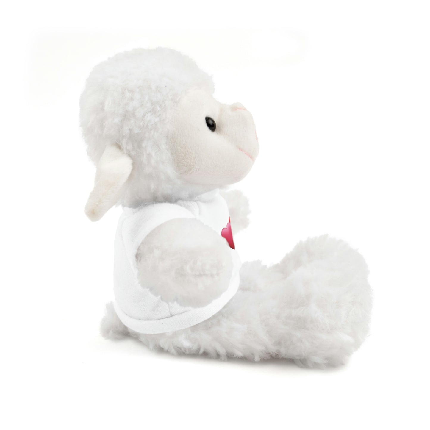 Valentine's Hearts Stuffed Animals with Tee