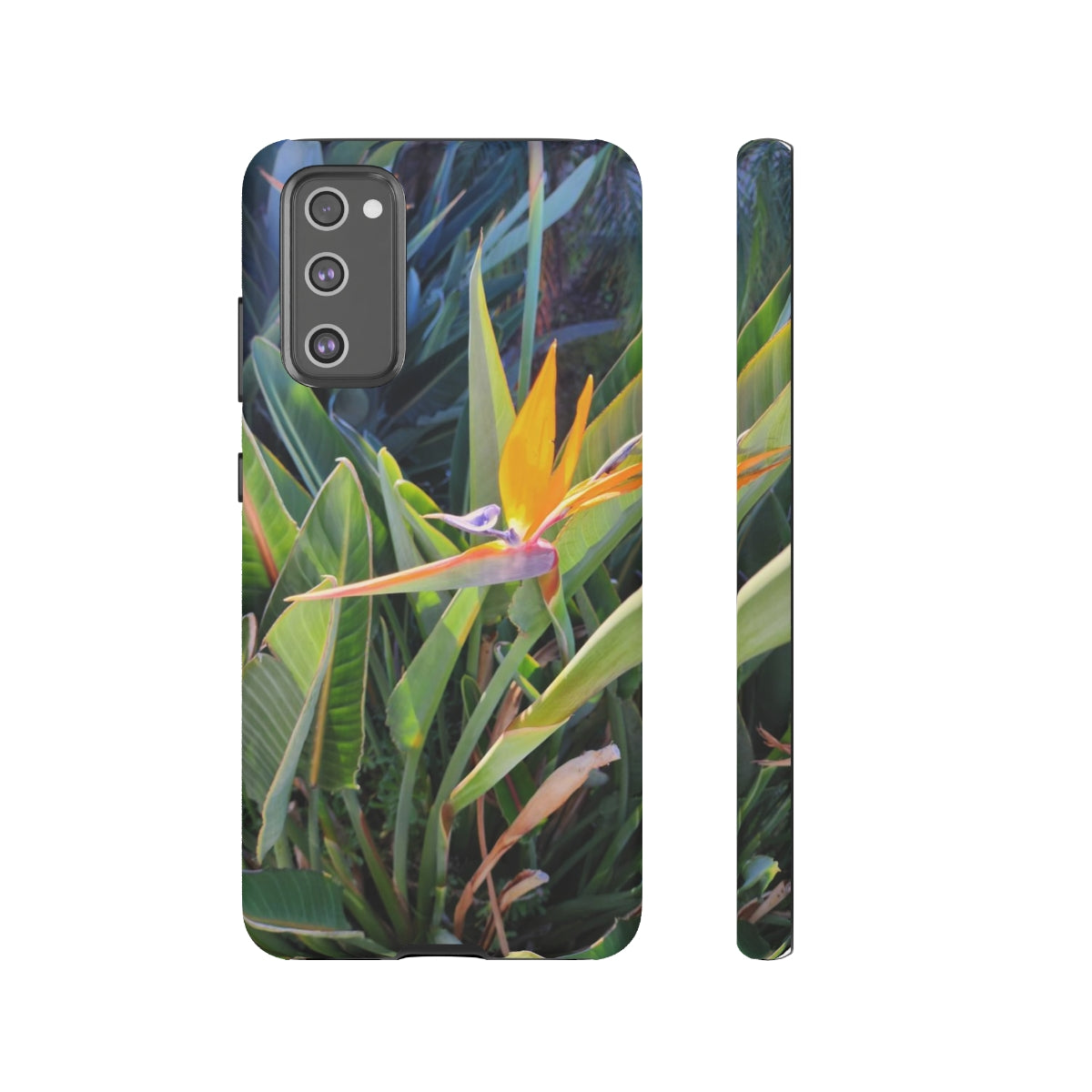 Island Style Bird of Paradise Tough Cases