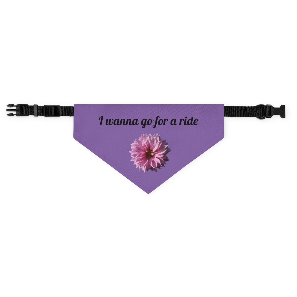 Floral "Perfectly Pink" "I wanna go for a ride" Pet Bandana Collar - Black print