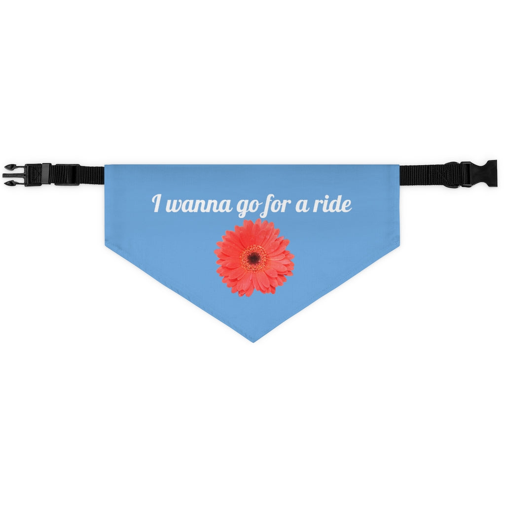 Floral "Gerber" "I wanna go for a ride"  Pet Bandana Collar - White print