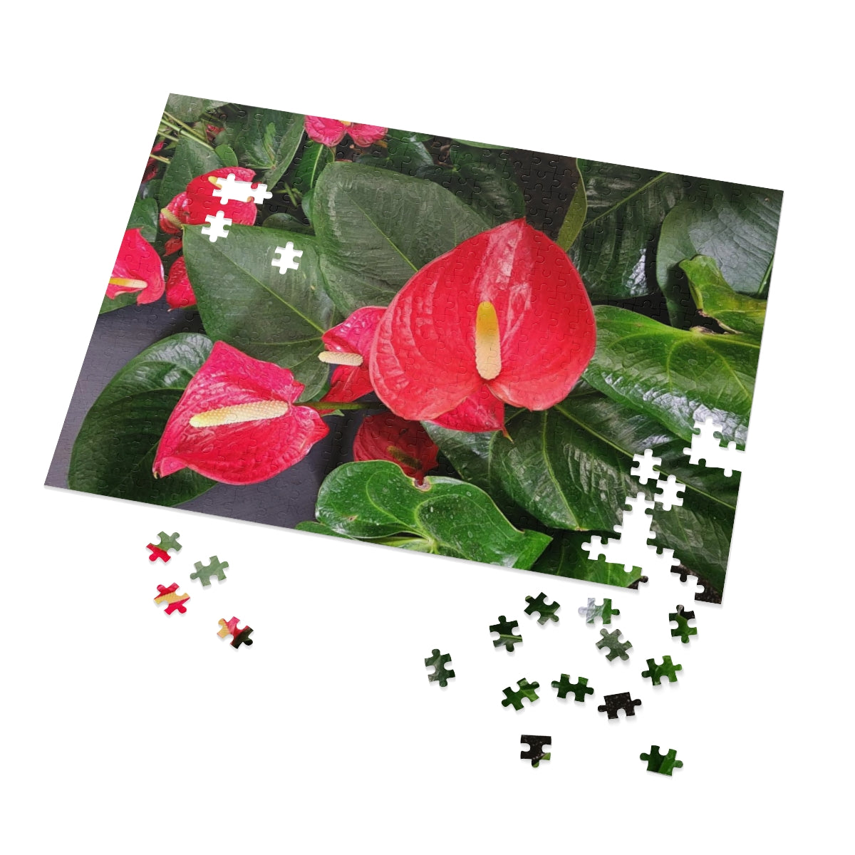 Island Style Anthurium Jigsaw Puzzle (252, 500-Piece)