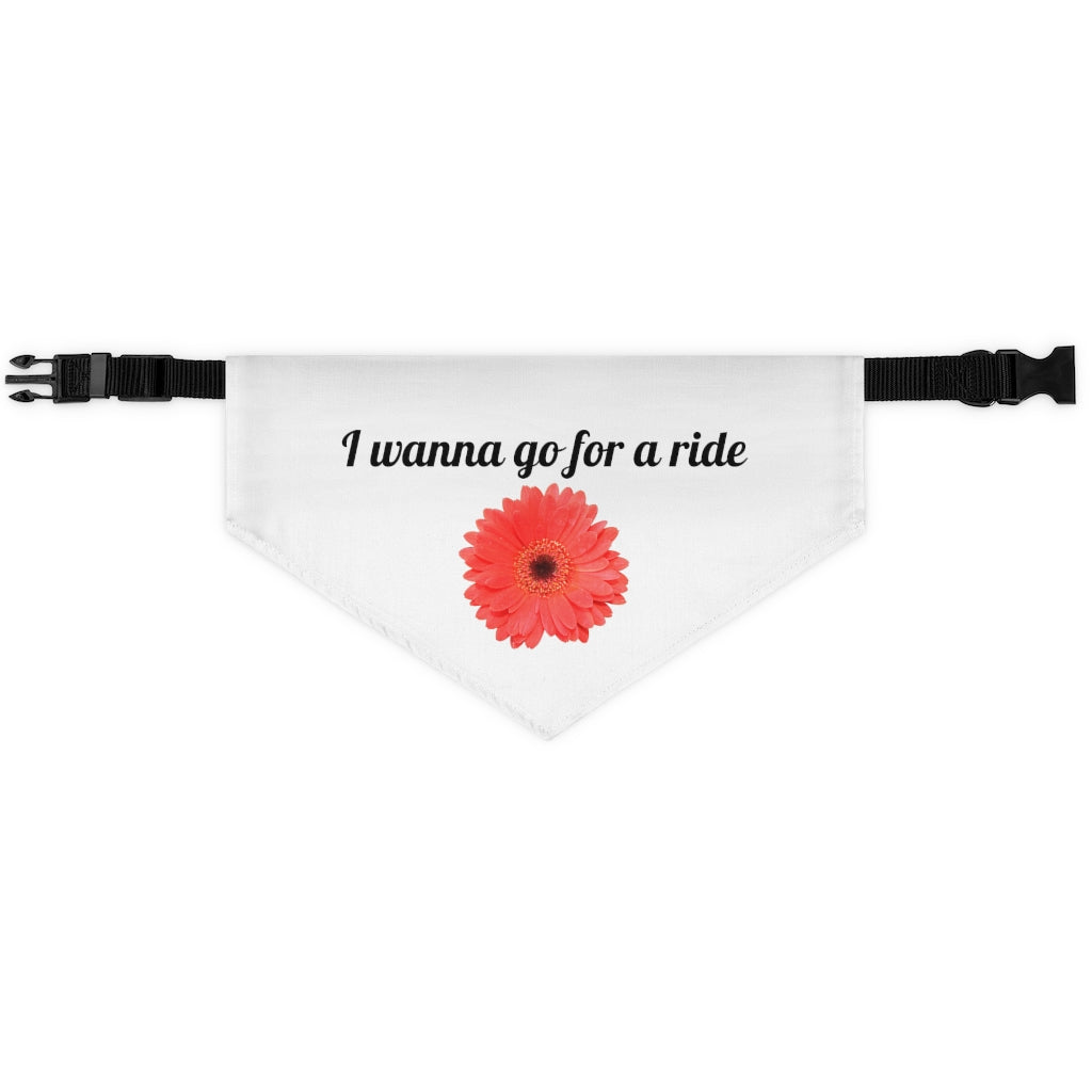 Floral "Gerber" "I wanna go for a ride" Pet Bandana Collar - Black print