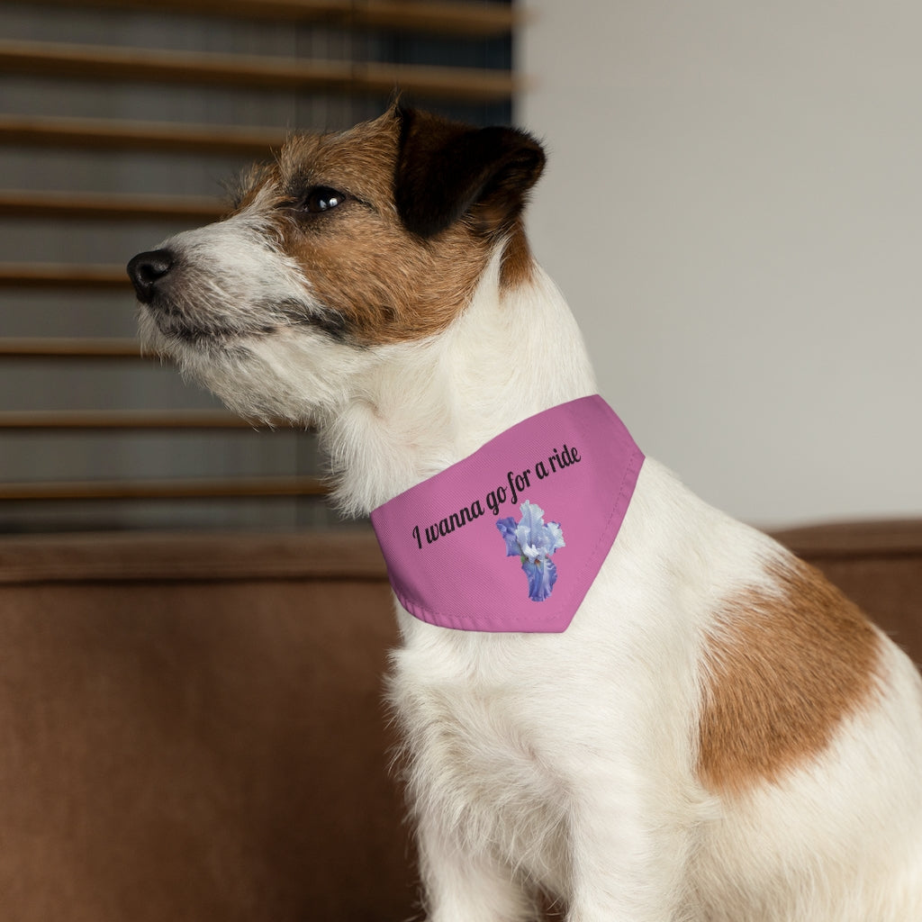 Floral "Iris" "I wanna go for a ride" Pet Bandana Collar - Black print