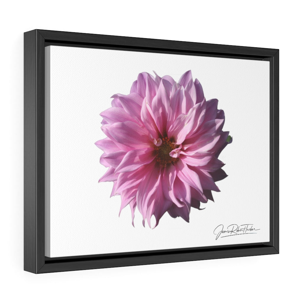 "Perfectly Pink" Gallery Canvas Wrap, Horizontal Frame