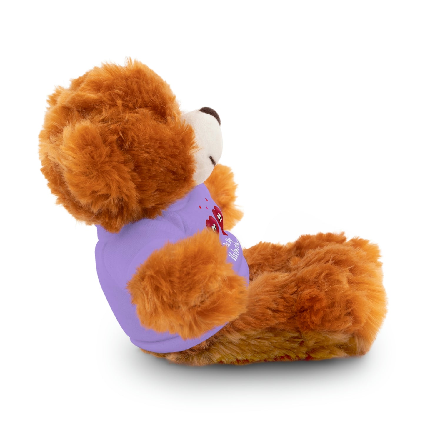 Valentine's "Be My Valentine" Stuffed Animals with Tee