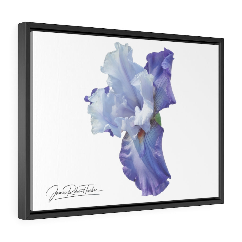 "Lavender Iris" Gallery Canvas Wrap, Horizontal Frame