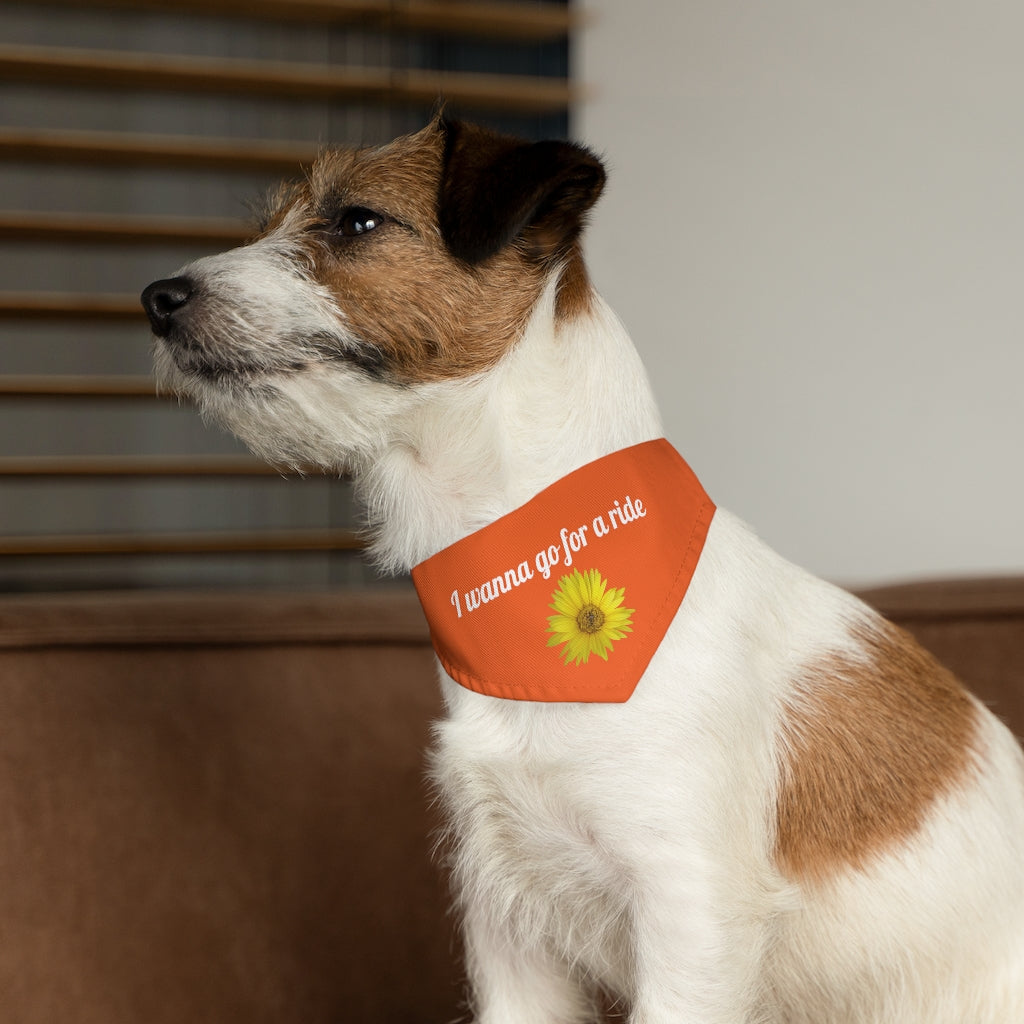 Floral "Daisy Mum - I wanna go for a ride" Pet Bandana Collar - White print