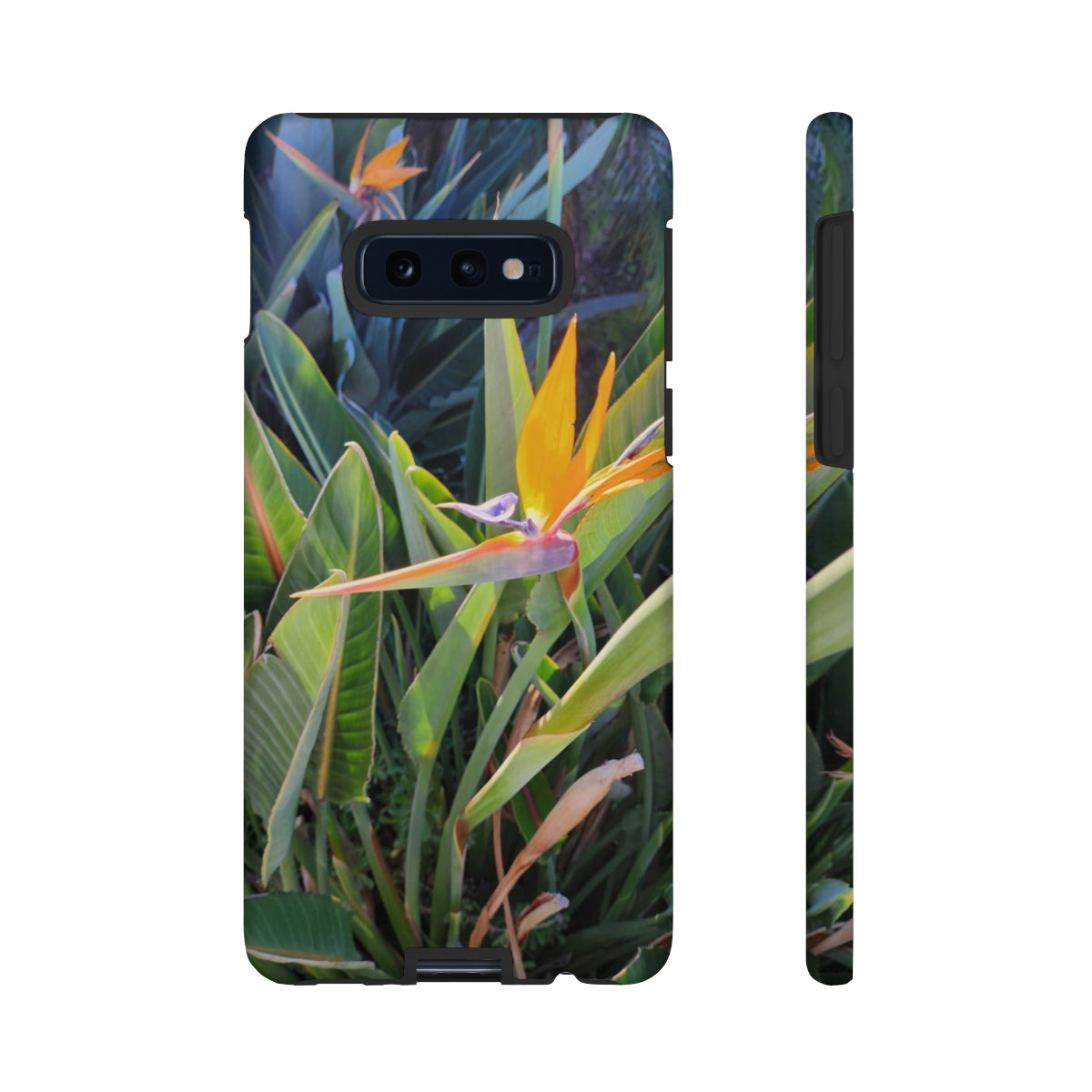 Island Style Bird of Paradise Tough Cases